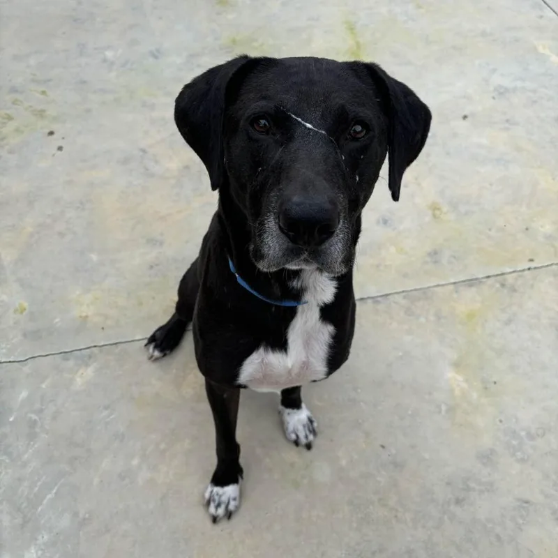 Hm Marty thumbnail 4