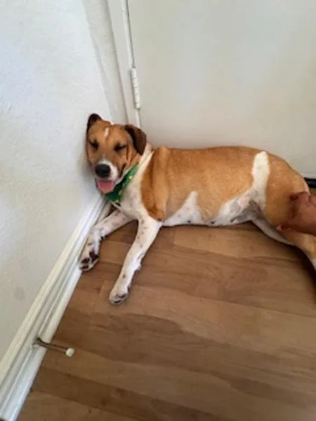 Penelope thumbnail 2