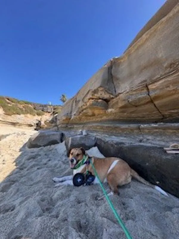 Penelope thumbnail 4