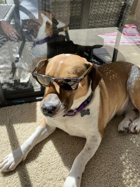 Penelope thumbnail 5