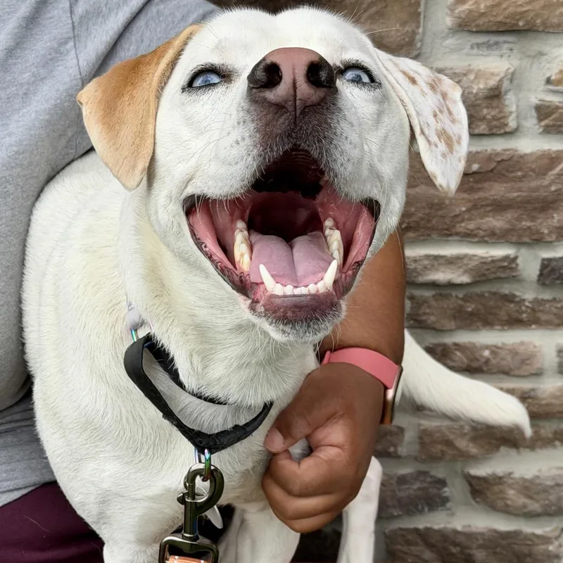 Pixie Mae thumbnail 2