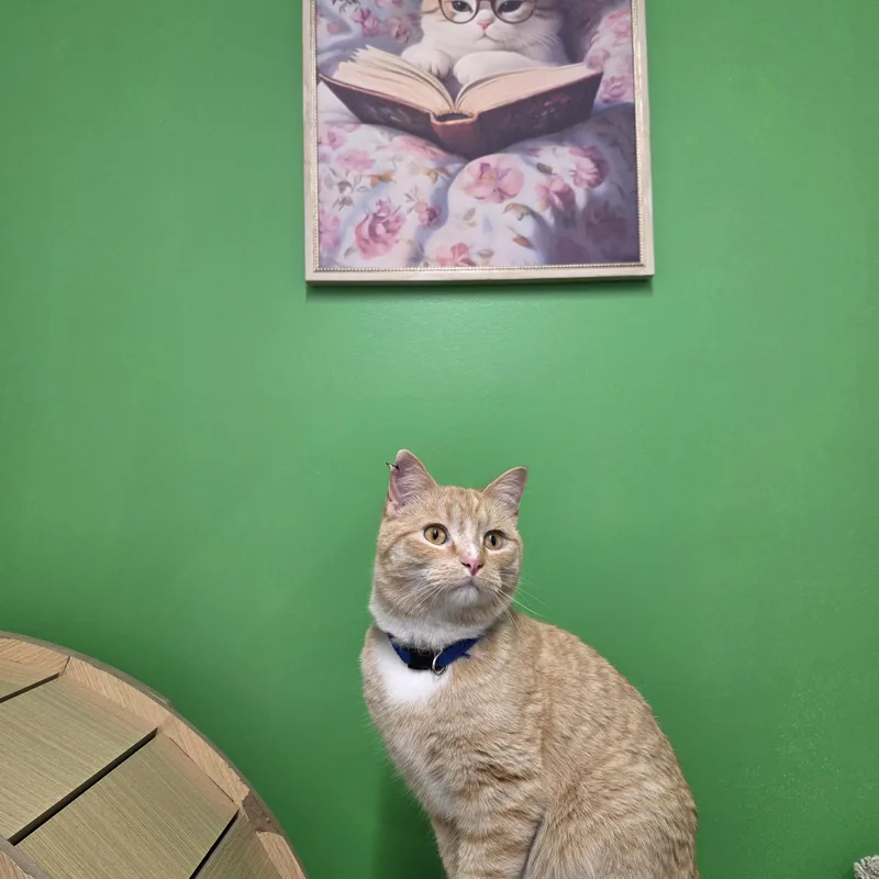 Garfield thumbnail 4