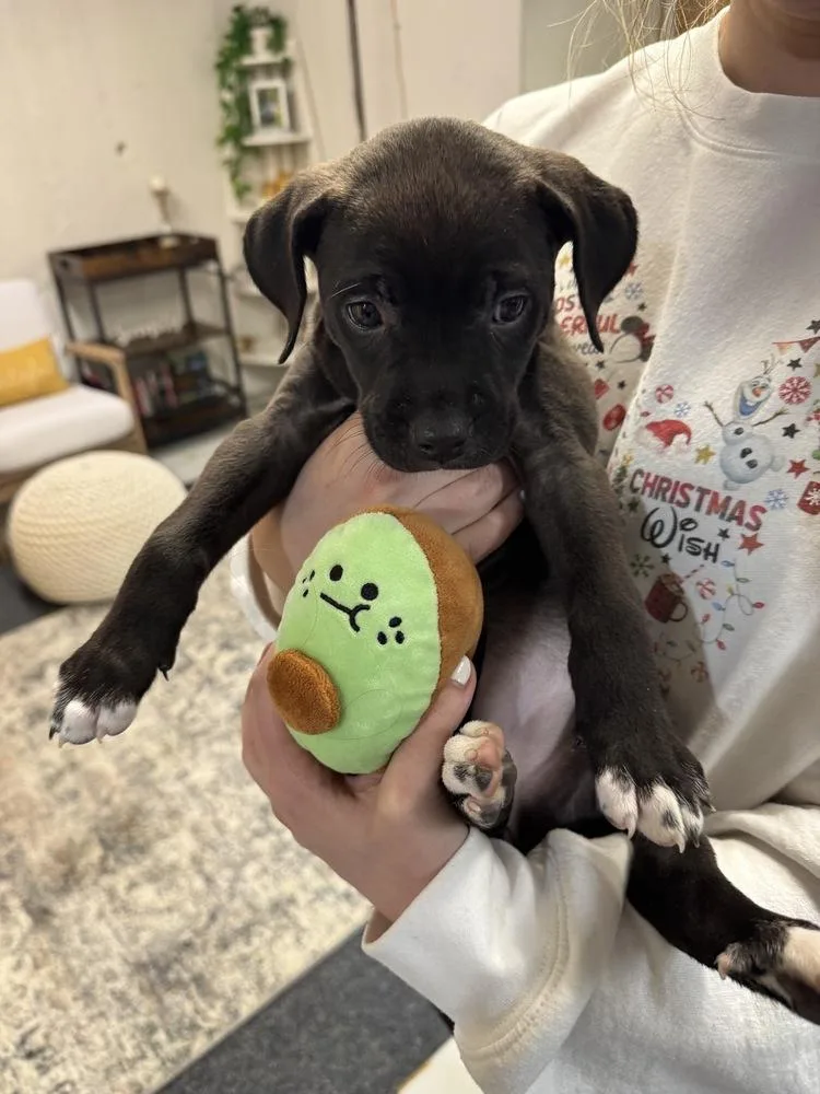 Janet Wood thumbnail 3