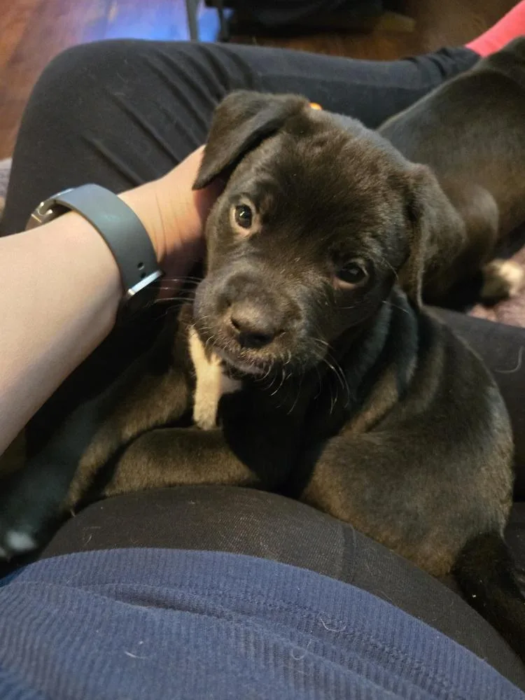 Janet Wood thumbnail 4