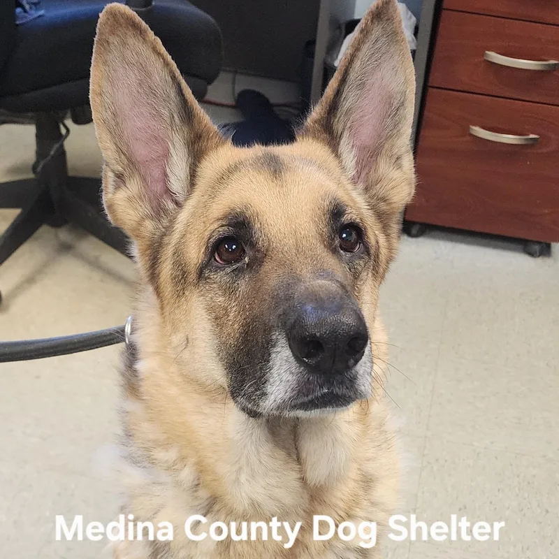 Jack Frost thumbnail 2