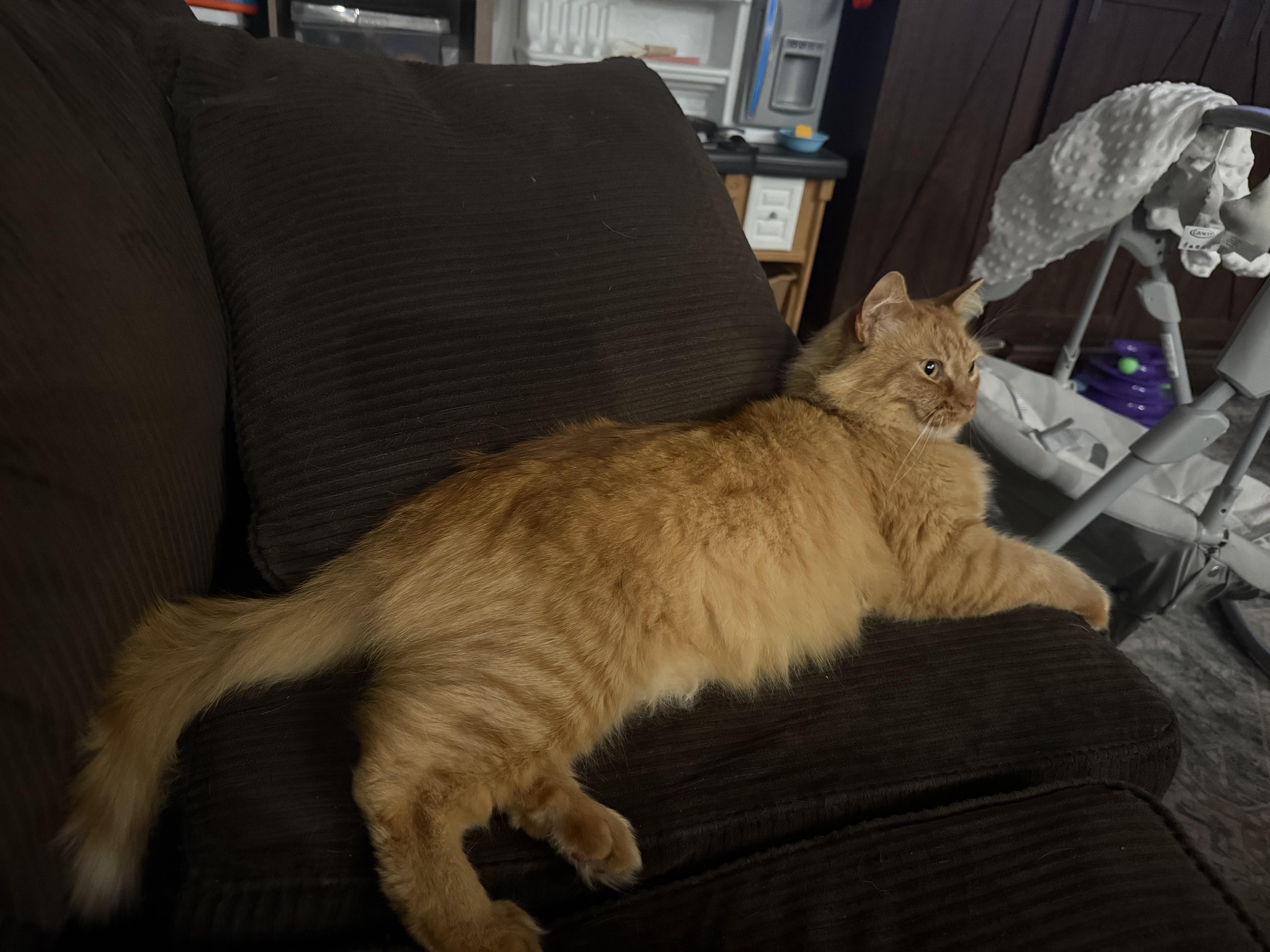Leroy