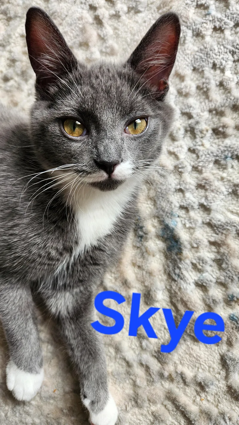 Skyeand Sunshine Your Daily thumbnail 2