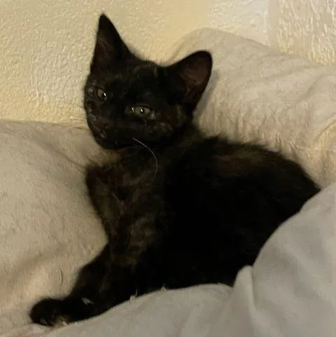 Esther