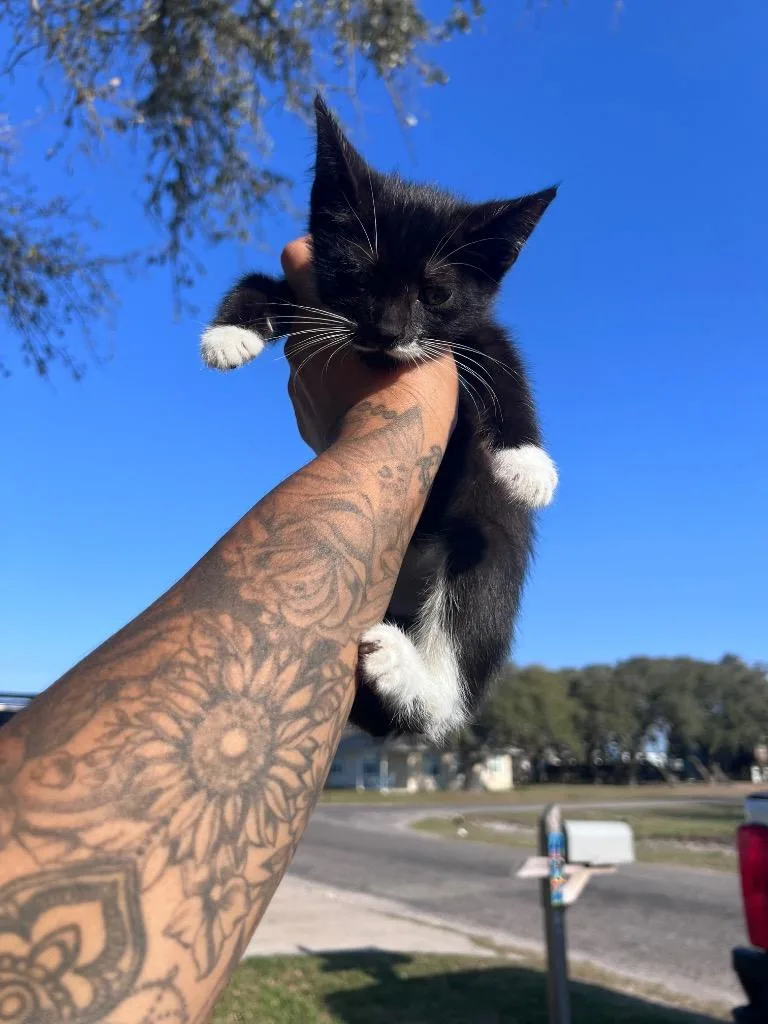 Bad Bunny thumbnail 2