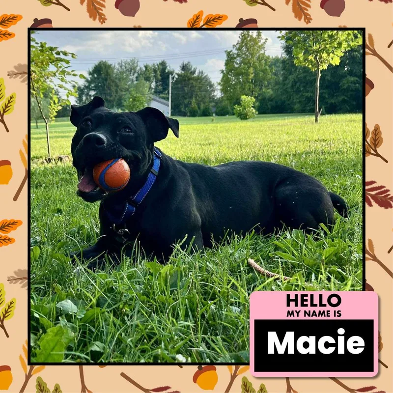 Macie thumbnail 6