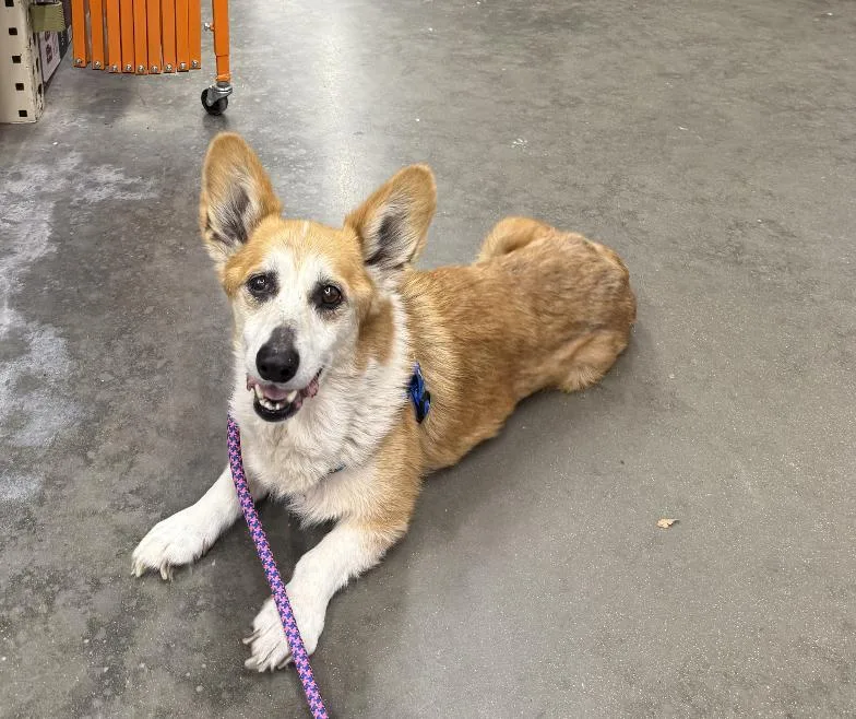 Edgar Allen thumbnail 3