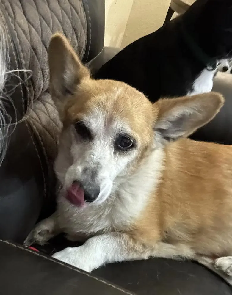 Edgar Allen thumbnail 4