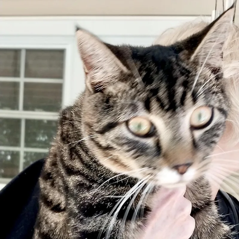 Mittensgirls thumbnail 5