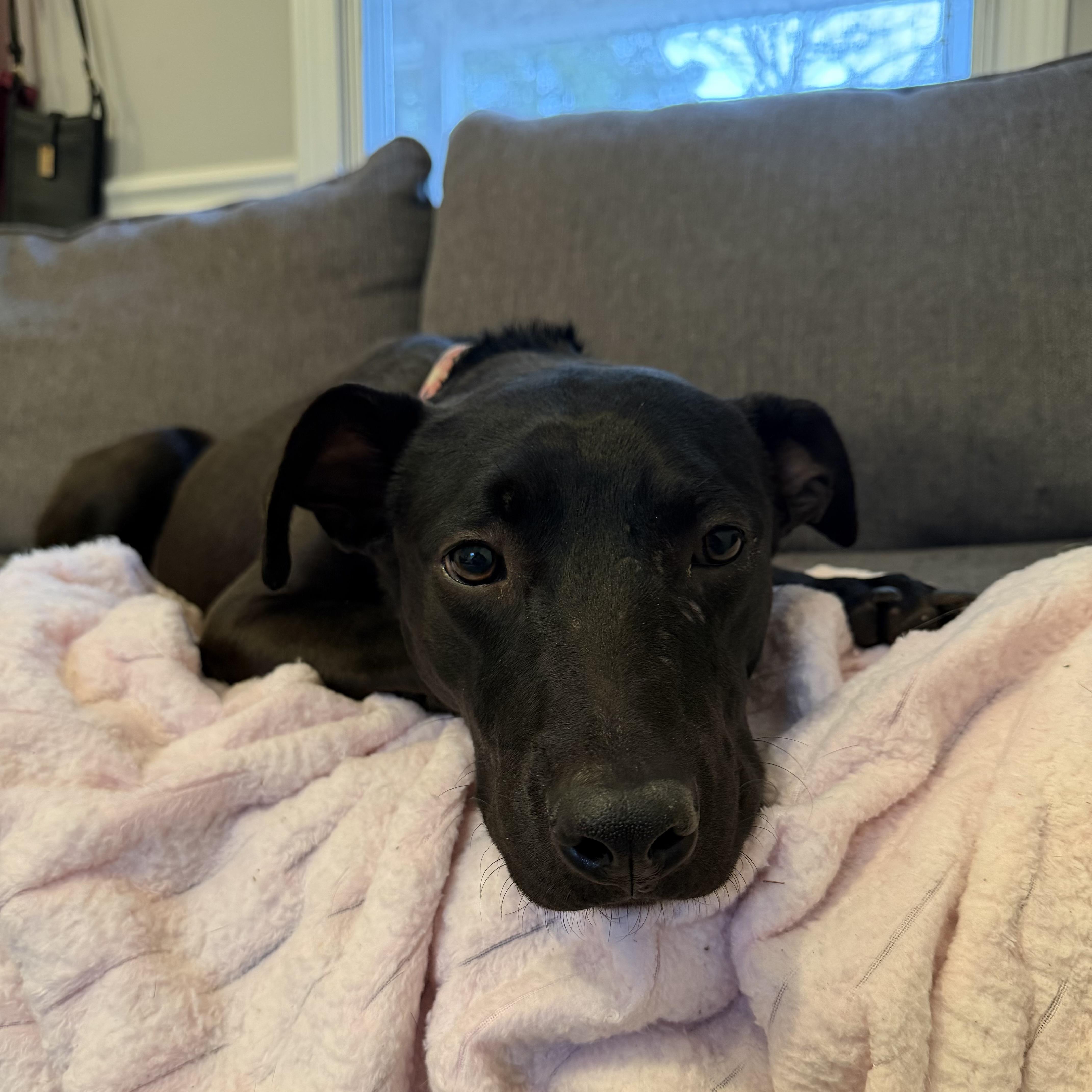 Five Points thumbnail 2