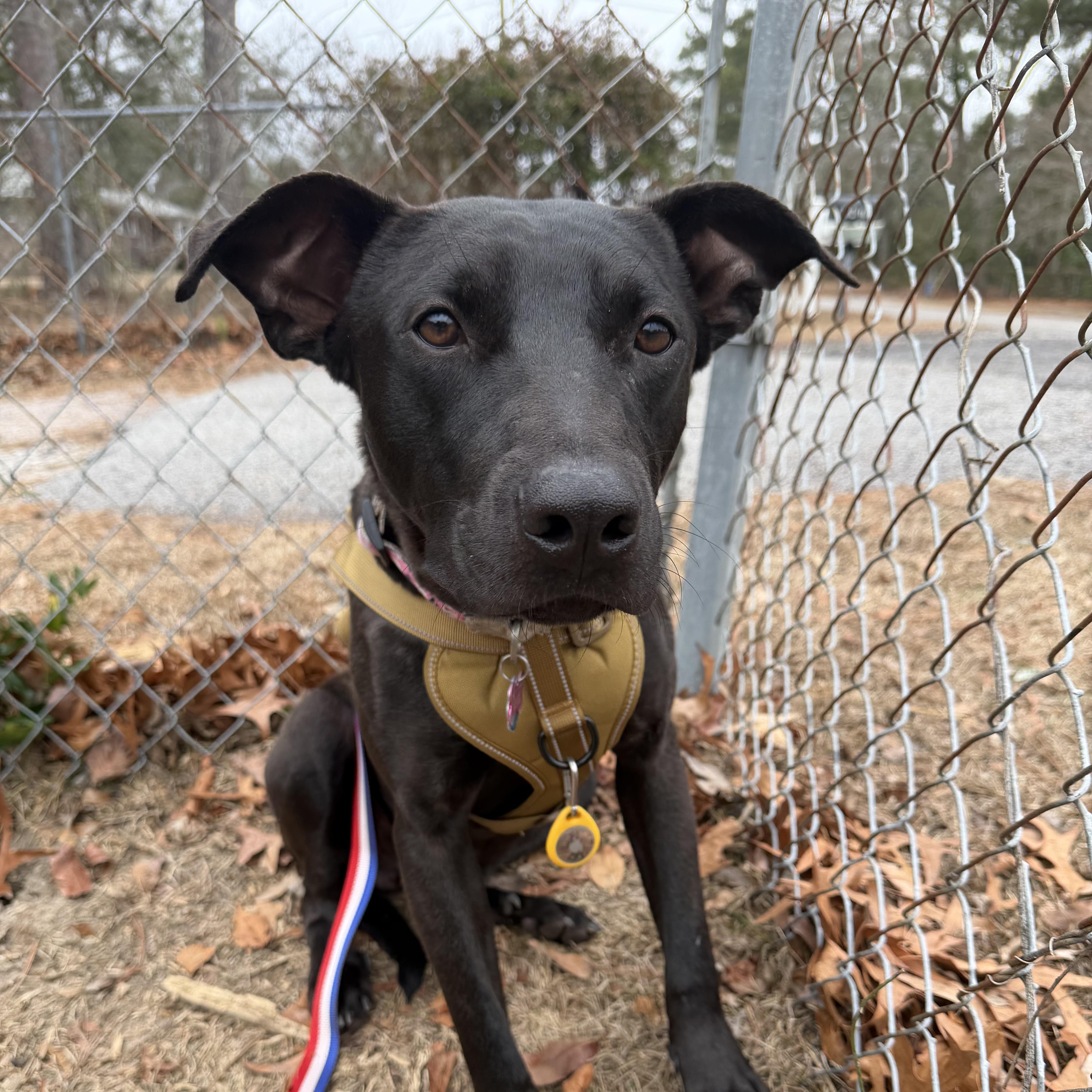 Five Points thumbnail 3