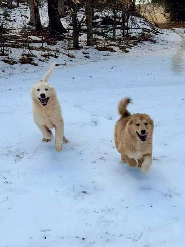 John Mcclane thumbnail 3