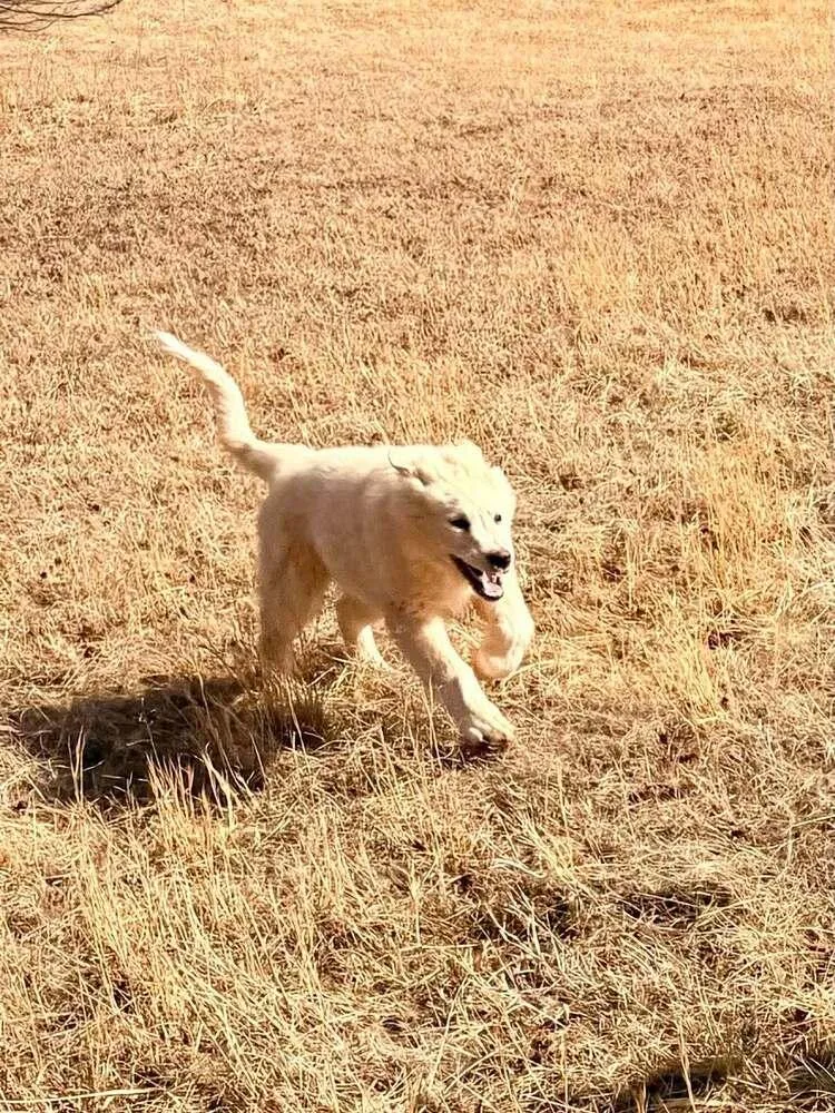 John Mcclane thumbnail 4