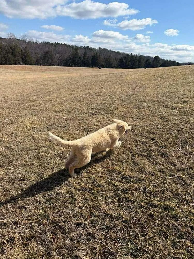 John Mcclane thumbnail 5