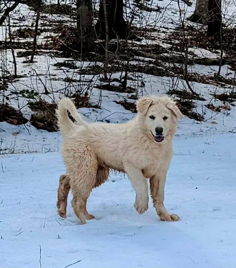 John Mcclane thumbnail 6