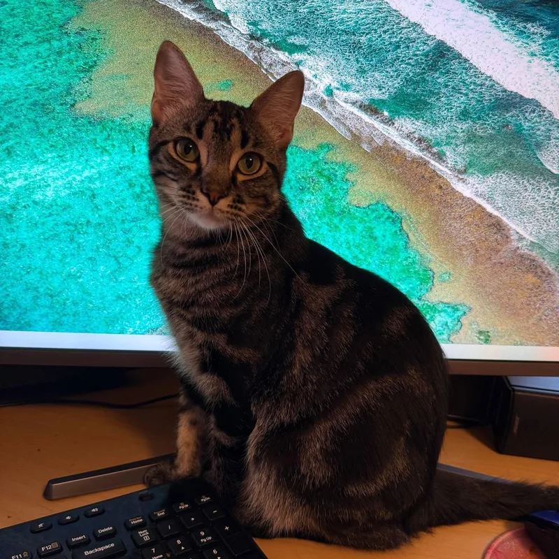 Dilly & Julius thumbnail 2