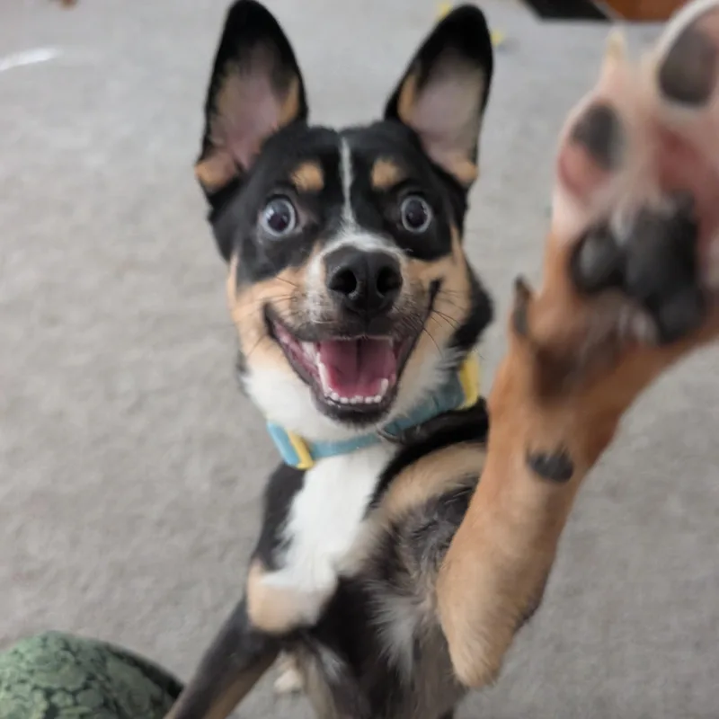 George thumbnail 2