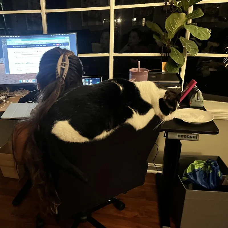 Paco thumbnail 4