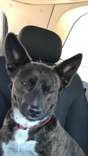 Zoe