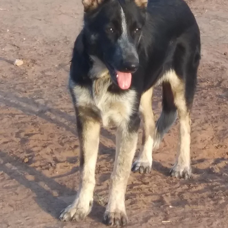 Whittney thumbnail 2