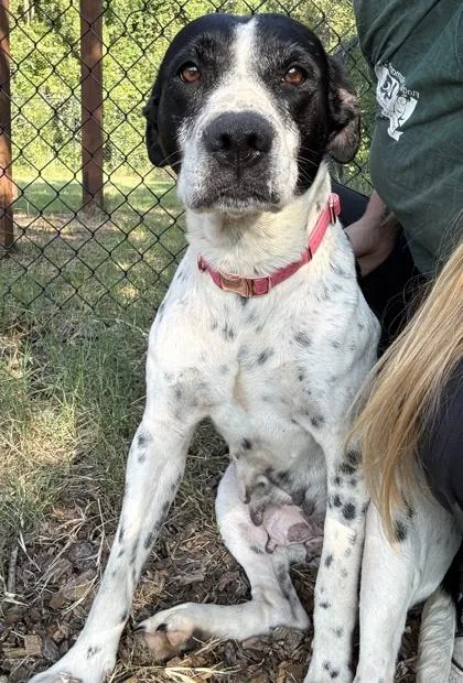 Matilda
