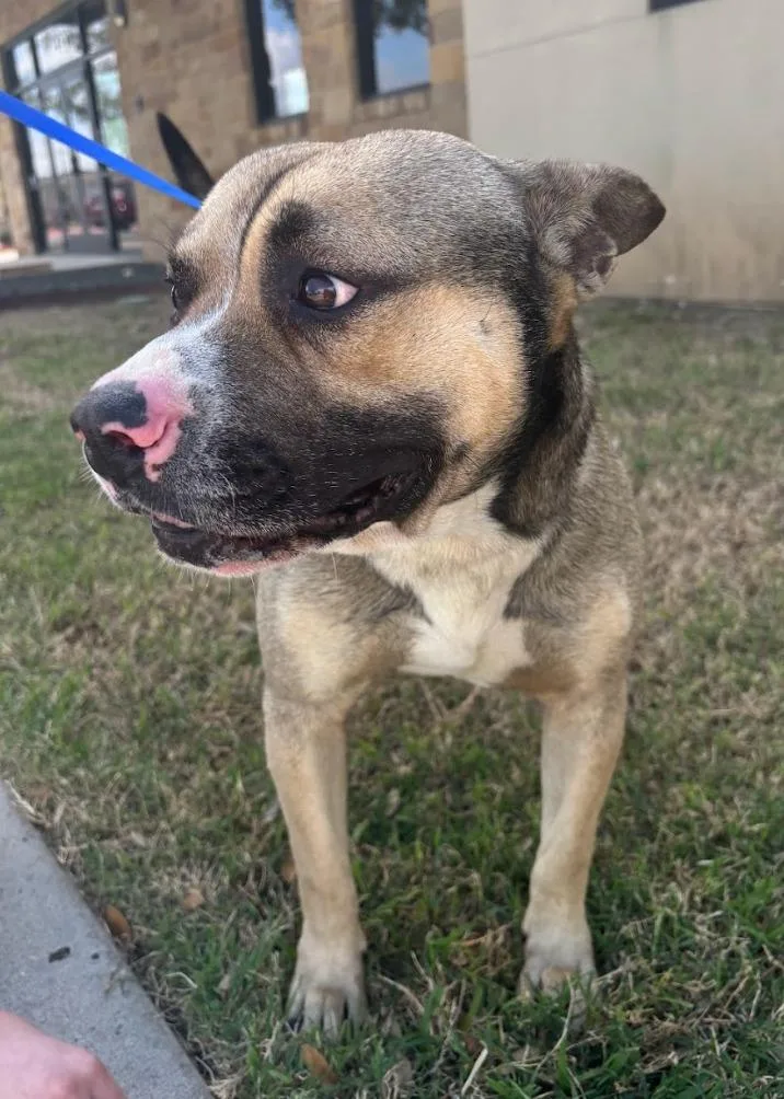 Rigatoni thumbnail 3