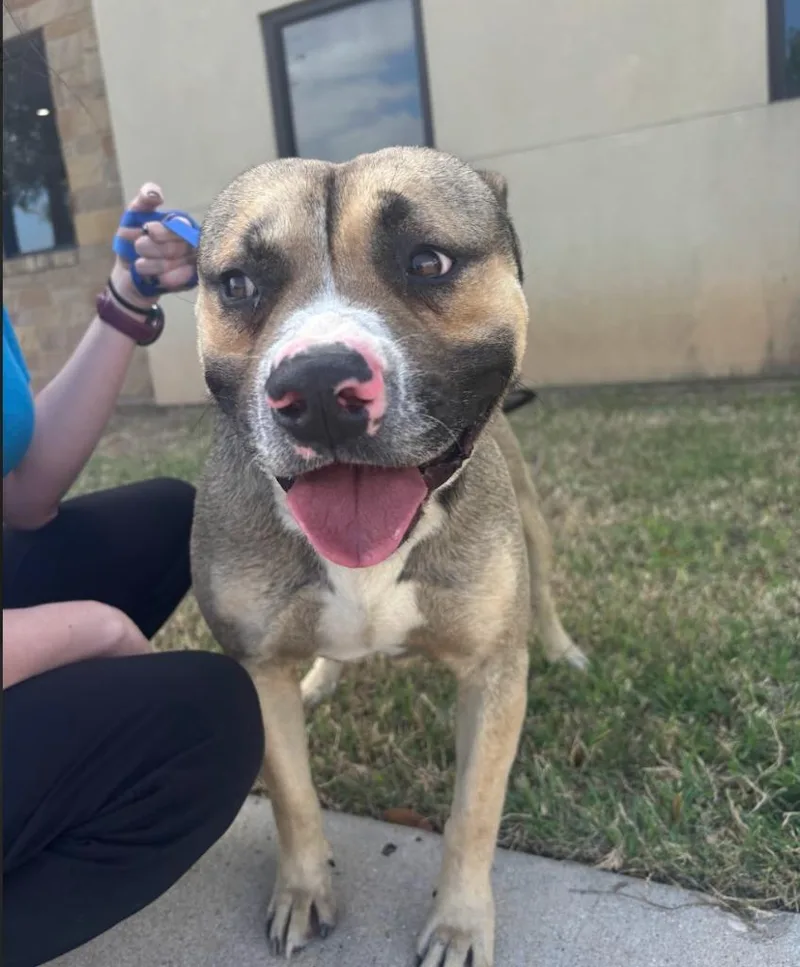 Rigatoni thumbnail 5