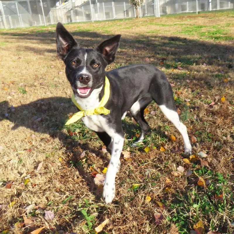 Kelsie D thumbnail 2