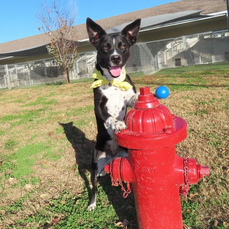 Kelsie D thumbnail 3