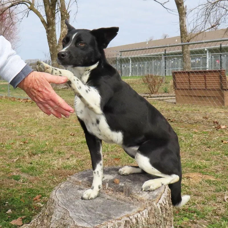 Kelsie D thumbnail 4