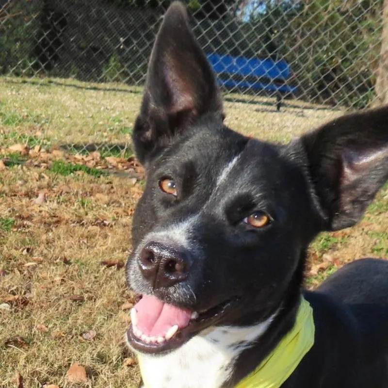 Kelsie D thumbnail 5