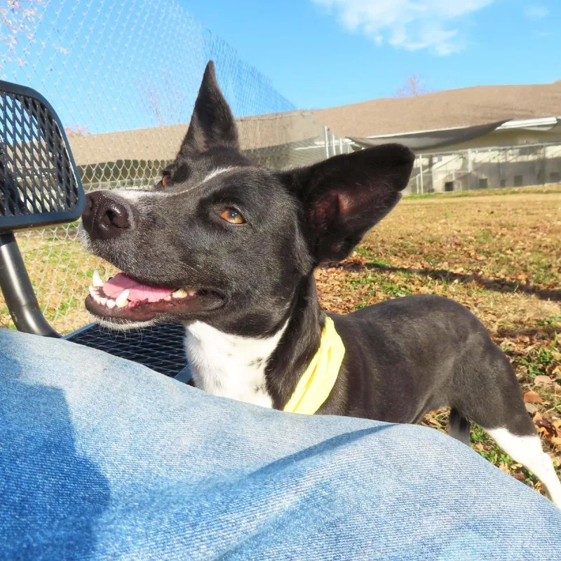 Kelsie D thumbnail 6