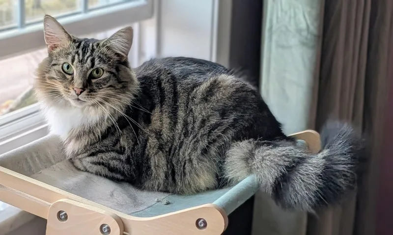 Burrnard thumbnail 5