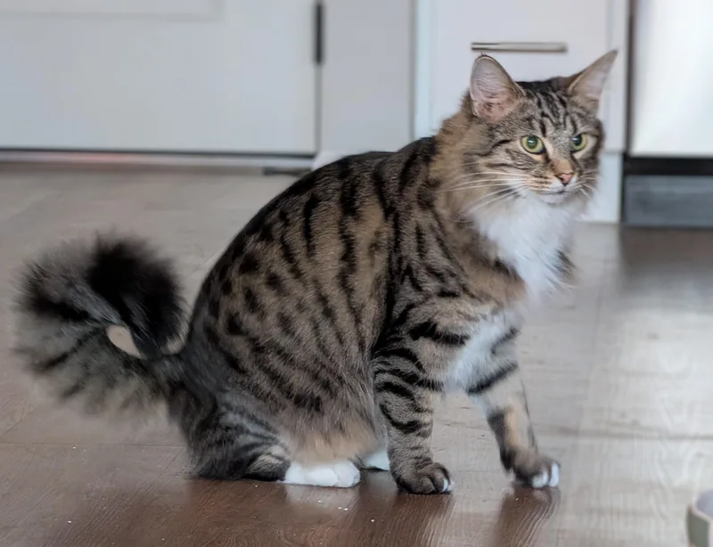 Burrnard thumbnail 6