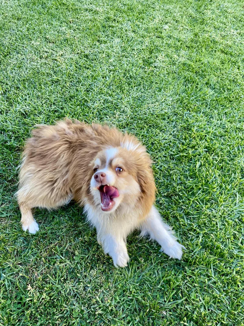 Andy   Poundv thumbnail 5