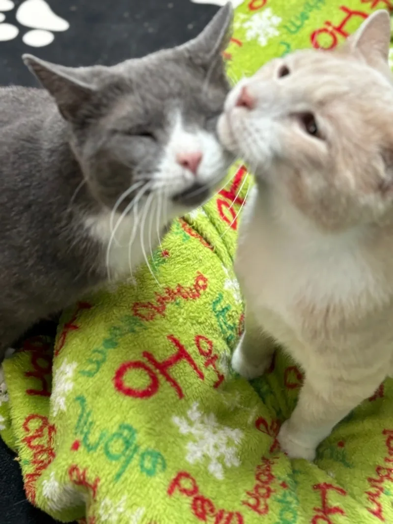 Gunther thumbnail 6