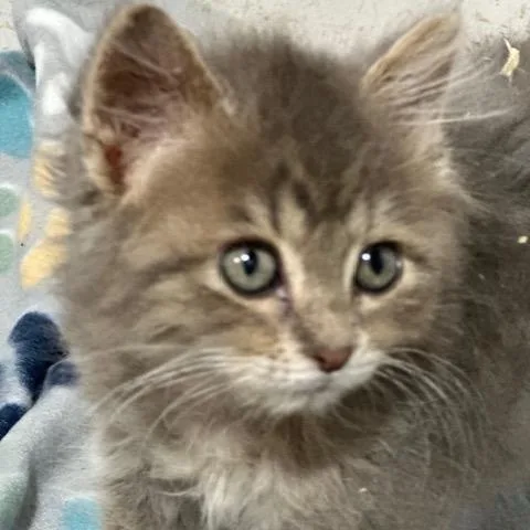 Marley thumbnail 2