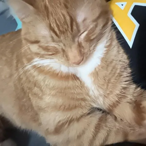 Andy