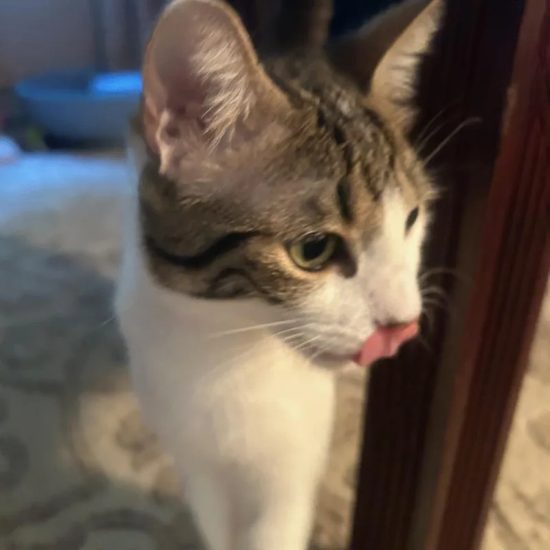 Spirit Love thumbnail 2