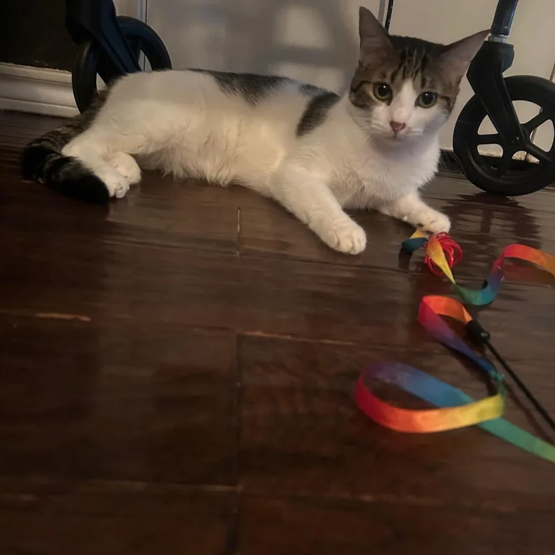 Spirit Love thumbnail 4