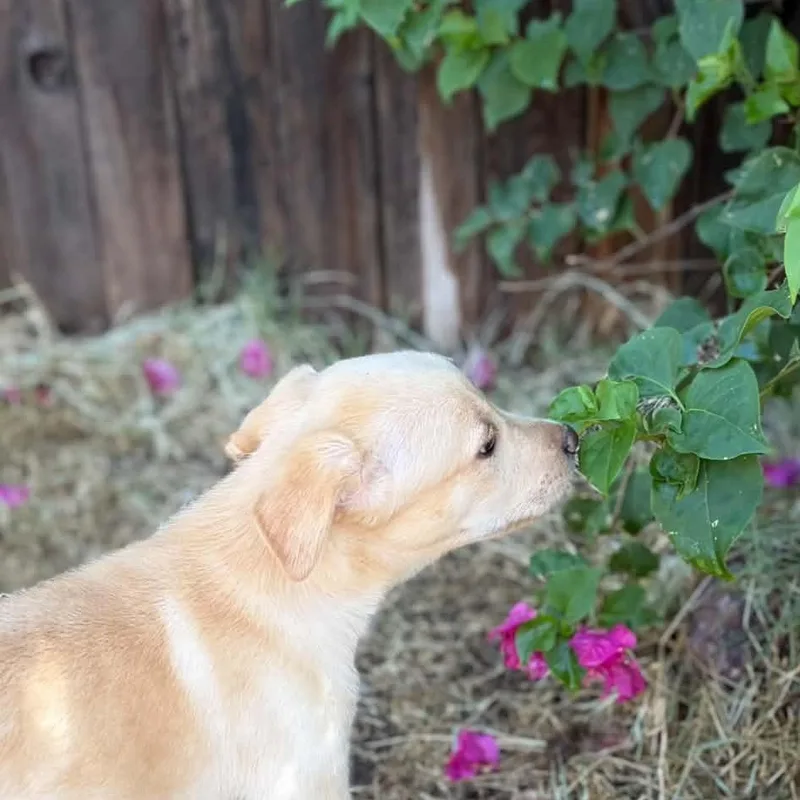 Tucker thumbnail 2