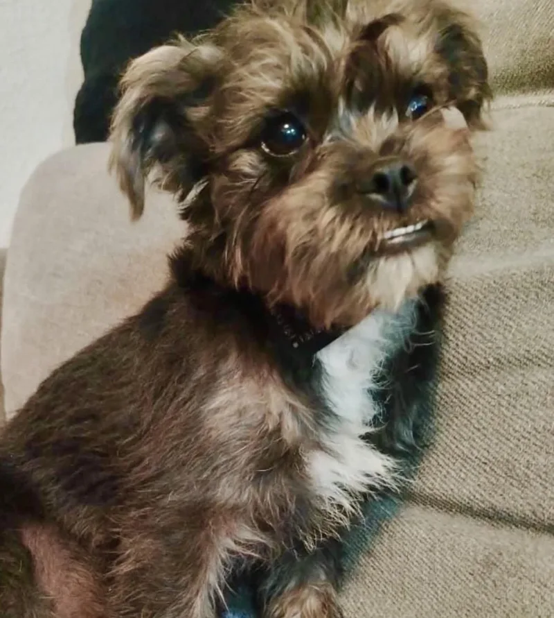 Skye