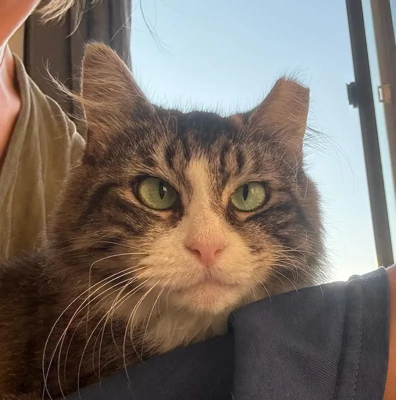 Klara N. ~ Perfect thumbnail 2