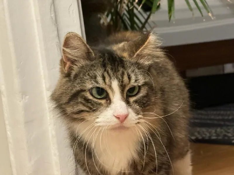 Klara N. ~ Perfect thumbnail 3