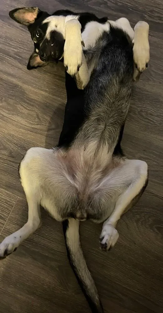Nala thumbnail 5