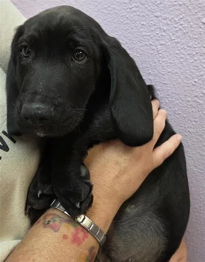 60659323 thumbnail 2